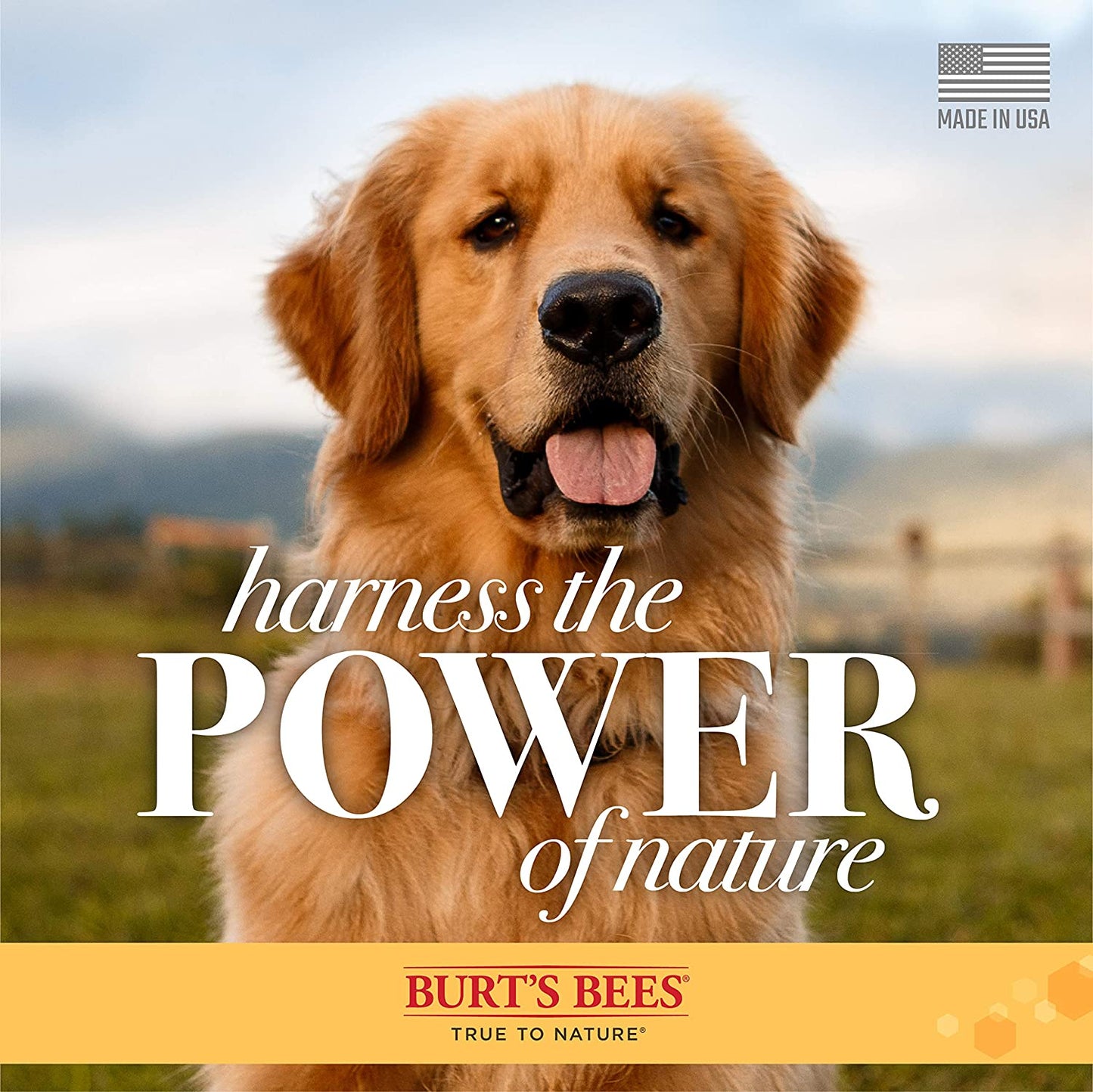 Burt'S Bees for Dogs Deodorizing Dog Shampoo and Dog Deodorizing Spray, Apple & Rosemary Dog Shampoo, Natural Dog Shampoo, Puppy Shampoo, Dog Bathing Supplies, Dog Wash, Pet Shampoo