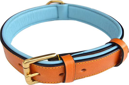 - Luxury Real Leather Padded Dog Collar