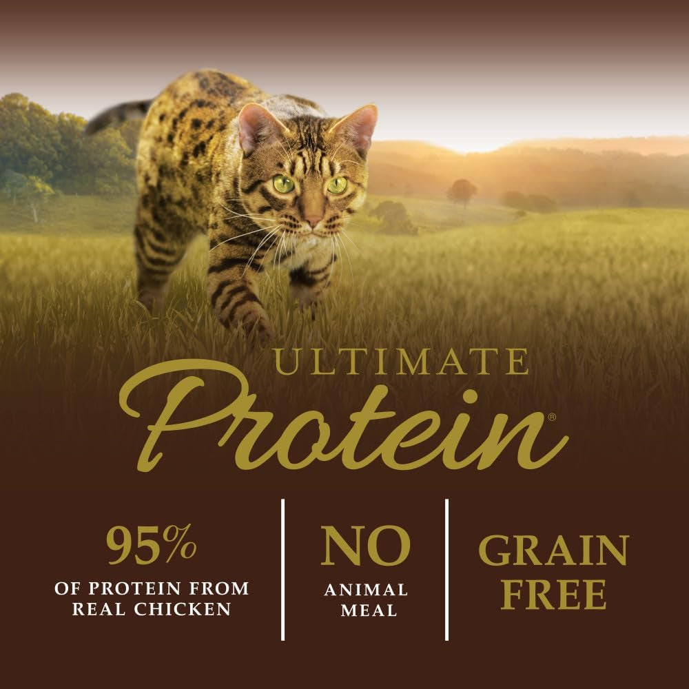 High Protein Cat Food, Ultimate Protein Grain Free Dry Cat Food