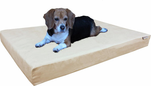 Memory Foam Dog Bed for Medium Dogs with Washable Cover, Waterproof Liner and Extra External Pet Bed Case 37X27X4 Inch, Khaki